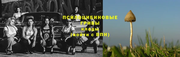 амф Заводоуковск