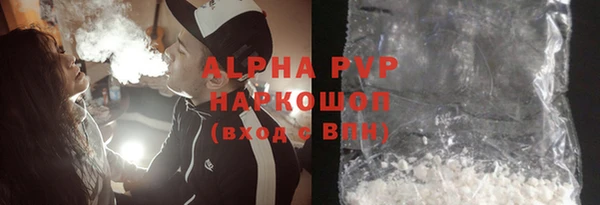 прущие грибы Заволжск