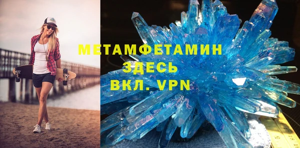 прущие грибы Заволжск