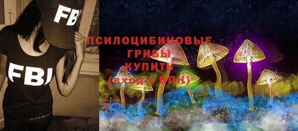 амф Заводоуковск
