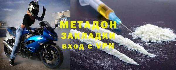 прущие грибы Заволжск